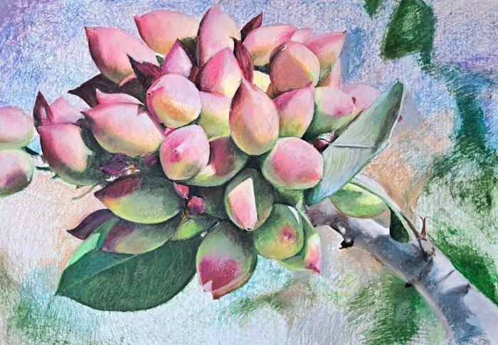 Andromachi Giannopoulou - Pistache, Antiek en Kunst, Kunst | Schilderijen | Modern