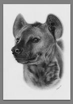 Schu - Hyena