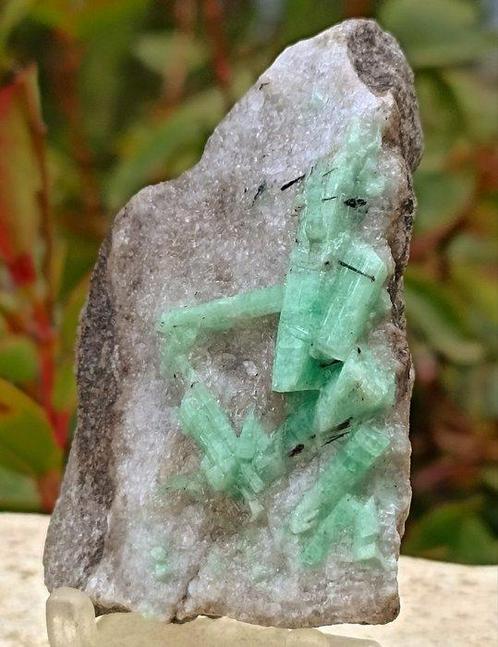 cristaux Émeraude brute sur gangue - Hauteur : 65 mm -, Verzamelen, Mineralen en Fossielen