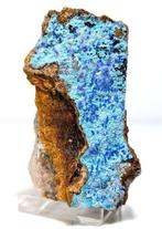 Connellite, een zeer zeldzaam exemplaar uit de historische, Verzamelen