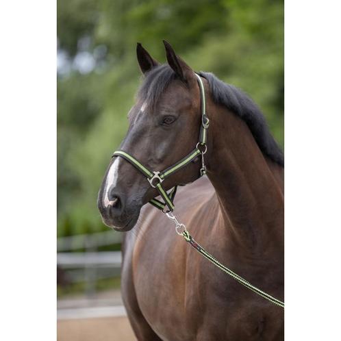 Licol nylon hippo, t. 0 anthracite/lemon - kerbl, Dieren en Toebehoren, Paarden en Pony's | Overige Paardenspullen