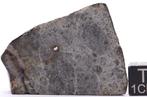 NWA 17713 LL6 breccia meteoriet Chondrite meteoriet - 41.6 g, Verzamelen