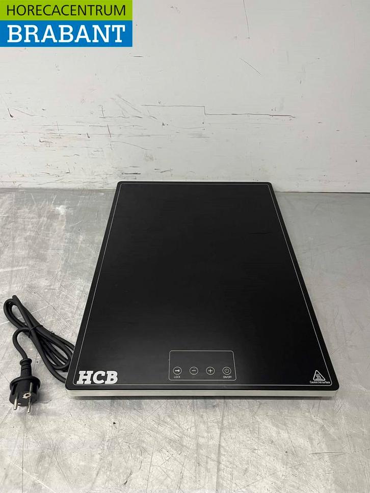 Plaque chauffante à induction en acier inoxydable 38 x 55 cm, Articles professionnels, Horeca | Équipement de cuisine, Envoi