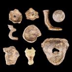 Oud-Romeins Groep bronzen votiefhoofden en fragmenten, Antiek en Kunst