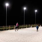 Rijpiste en Paardenpiste Verlichting – LED-lamp en lichtmast, Dieren en Toebehoren, Verzenden, Nieuw, Dressuur