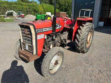 1977 Massey Ferguson MF 255 Oldtimer tractor beschikbaar voor biedingen
