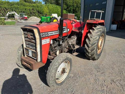 1977 Massey Ferguson MF 255 Oldtimer tractor, Zakelijke goederen, Landbouw | Tractoren