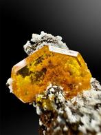 wulfeniet Mineralencollectie - Hoogte: 2.4 cm - Breedte: 1.9, Verzamelen