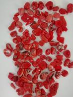Corail rouge Corail - Corallium rubrum (Sans Prix de
