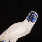 Vogelcollectie: Winged Splendors. Taxidermie volledige