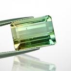 1 pcs Groen, Geel, Tweekleurig Toermalijn - 12.21 ct -