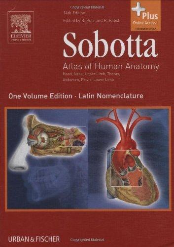 Sobotta - Atlas Of Human Anatomy 9780702034831 Barbara Mason, Verzenden, Barbara Mason
