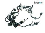 Kabelboom Ducati Monster 796 2009-2014 (M796)  (51017261A), Motoren, Verzenden, Gebruikt