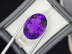 Zonder minimumprijs - 1 pcs Paars Amethist - 24.20 ct -, Handtassen en Accessoires, Edelstenen, Nieuw