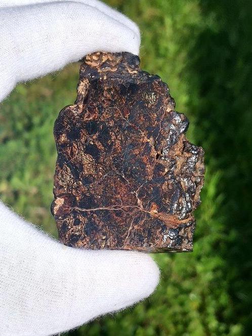 Mésosidérite Tranche - 74.45 g - (1), Verzamelen, Mineralen en Fossielen