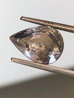 1 pcs Grijs, Paars Saffier - 6.00 ct - Gemological Institute