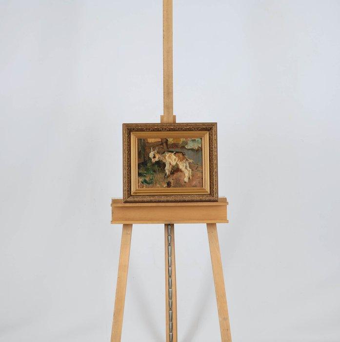 Willem Hendrik van der Nat (1864–1929) - Kleine geit, Antiek en Kunst, Kunst | Schilderijen | Klassiek