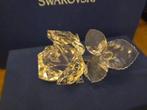 Swarovski - Figurine - Rose - 174956 - Cristal