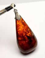 Ambre - Argent 835 - Pendentif - Couleur cognac, Collections
