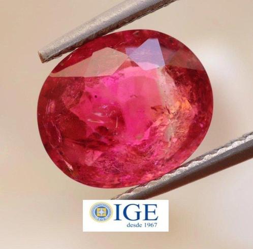 1 pcs  Rood, Roze Toermalijn  - 3.05 ct - Instituto, Handtassen en Accessoires, Edelstenen