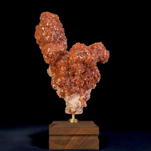 Aragonite étoilée du Maroc – Merveilles cristallines de la, Verzamelen, Dierenverzamelingen