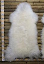 Schaap Balg - Ovis aries - 0 m - 130 cm - 75 cm -, Nieuw