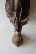 Trophée de chasse, Verzamelen, Dierenverzamelingen, Nieuw