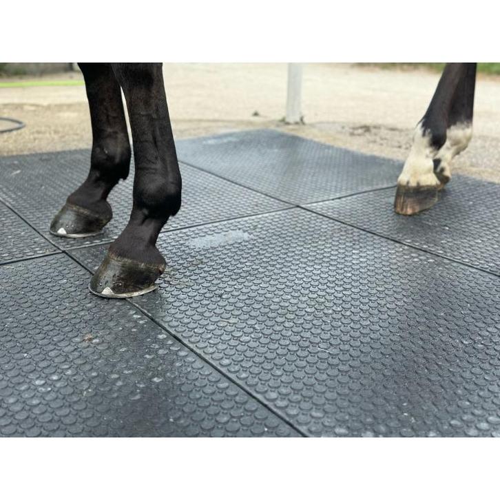 Agroclickstalmat 120x80 cm - pvc klik stalmat om comfort,, Animaux & Accessoires, Box & Pâturages
