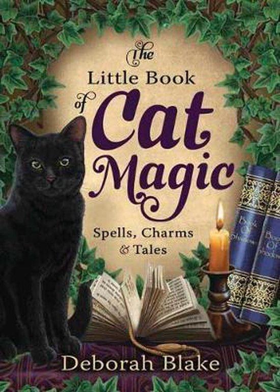 The Little Book of Cat Magic 9780738753232 Deborah Blake, Boeken, Overige Boeken, Zo goed als nieuw, Verzenden