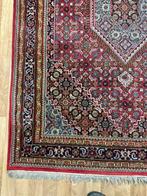 Bidjar - Tapis - 230 cm - 168 cm