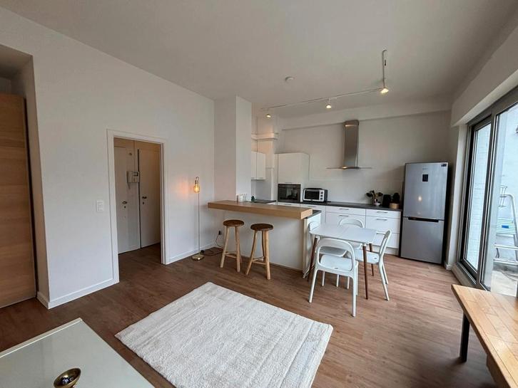 Appartement en Rue Souveraine, Ixelles, Immo, Appartementen en Studio's te huur