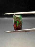 Opaal Gepolijste- 0.28 g, Verzamelen