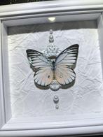Papillon Support de corps entier pour taxidermie -, Nieuw