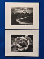 Ansel Adams (1902–1984) - The Tetons and the Snake River,, Antiquités & Art