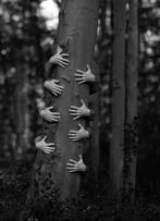 Jure Kralj - Multiverse, Antiek en Kunst