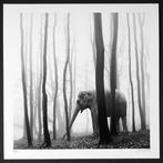 Frank Machalowski - tierwald#134