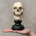 Sculpture, NO RESERVE PRICE - Stunning Wooden Human Skull