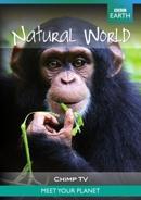 Natural world natural world collection chimp tv op DVD, Verzenden