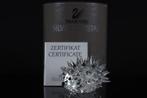 Figuur - Swarovski - Egel middel (Boxed + Certificate) -