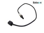 Capteur doxygène Honda CB 650 F 2014-2016 (CB650F CB650FA, Verzenden, Nieuw