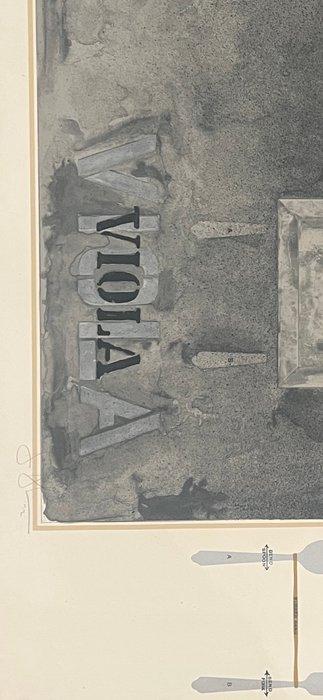 Jasper Johns (1930) - Viola