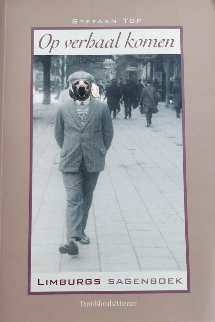 Limburgs sagenboek / Davidsfonds/Literair 9789063064976, Boeken, Literatuur, Gelezen, Verzenden