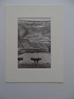 Henri Cartier-Bresson (1908–2004) - Castilla, Spain, Antiek en Kunst