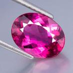 1 pcs Roze Toermalijn - 2.81 ct - nternational Colored, Nieuw
