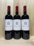2018 Le Pauillac de Latour, 3th wine of Chateau Latour -