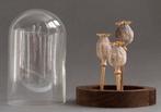 Opio Support de corps entier pour taxidermie - Papaver