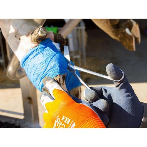 Bande equilasti bleu larg.10cm - kerbl, Dieren en Toebehoren, Paarden en Pony's | Hoofdstellen en Tuigage