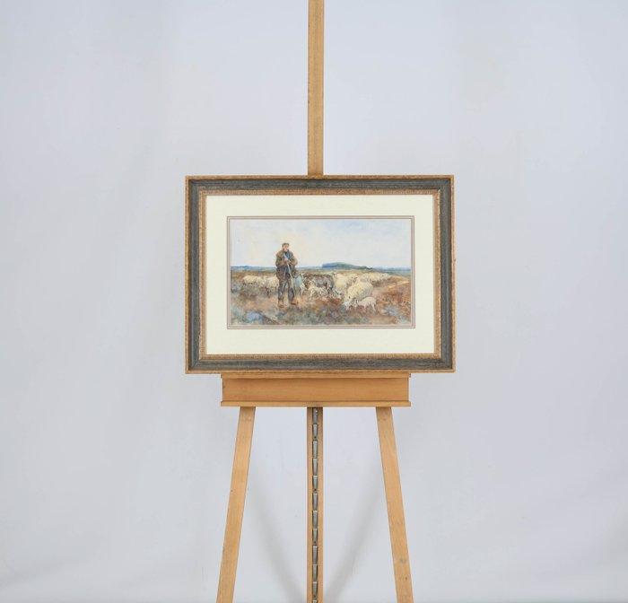 Willem Hendrik van der Nat (1864–1929) - Herder met schapen, Antiek en Kunst, Kunst | Schilderijen | Klassiek