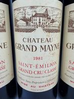 1981 Château Grand Mayne - Saint-Émilion Grand Cru Classé -, Collections, Vins