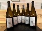2023 Colterenzio Since 83 Chardonnay - Trentino Alto Adige -, Nieuw